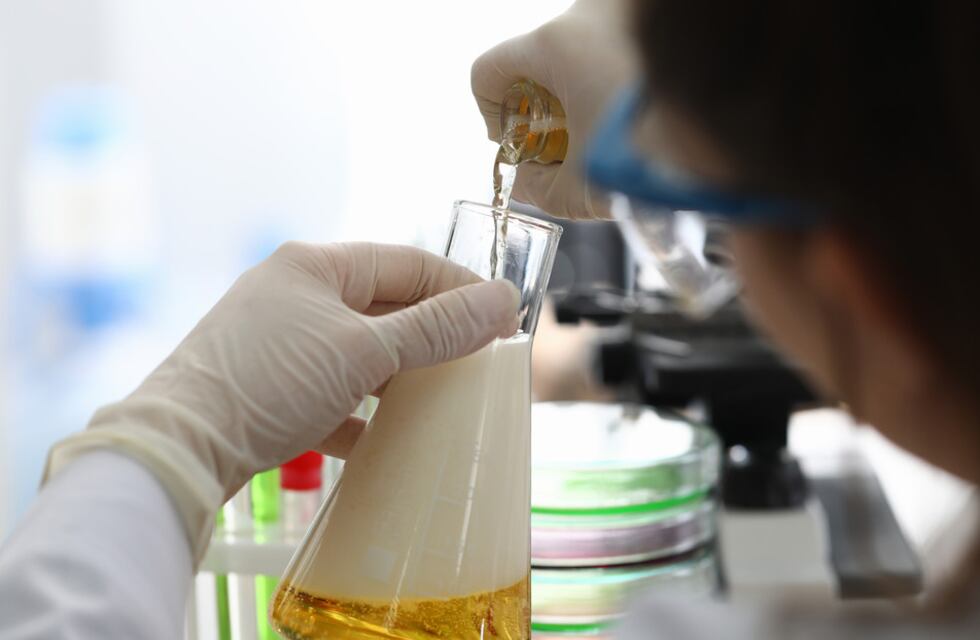 Ushuaia: se realizará el ciclo “Ciencia y Cerveza” en el Polo Creativo sur