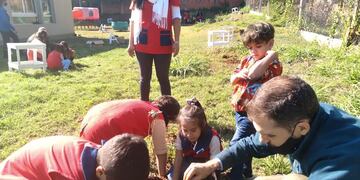 “1 Millón de árboles” llegó a Puerto Iguazú