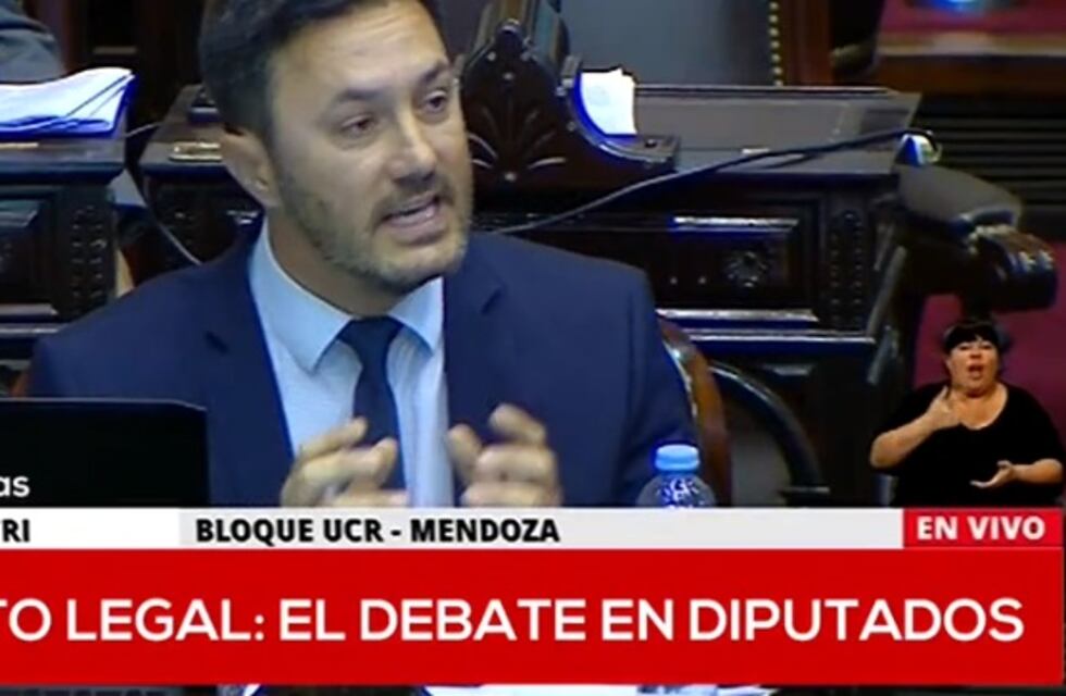 Petri: “El proyecto es inconstitucional y nos coloca en el peor de los lugares”.