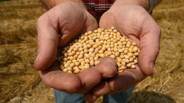 CONTROLES. El objetivo es reducir al mínimo posible la comercialización de soja y otros granos en "bolsa blanca".