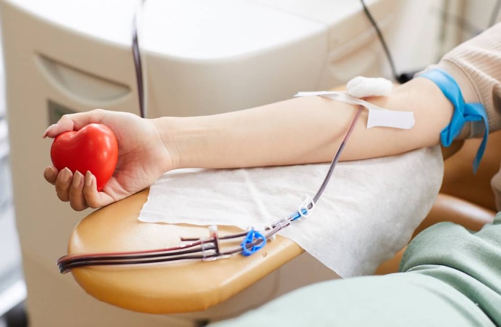 Nueva colecta de sangre para el Registro de Médula Ósea