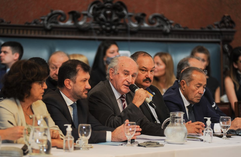 Impuesto a Evasores: avanza en el Senado el proyecto oficialista para pagar al FMI