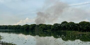 Incendio en la Costanera Sur.