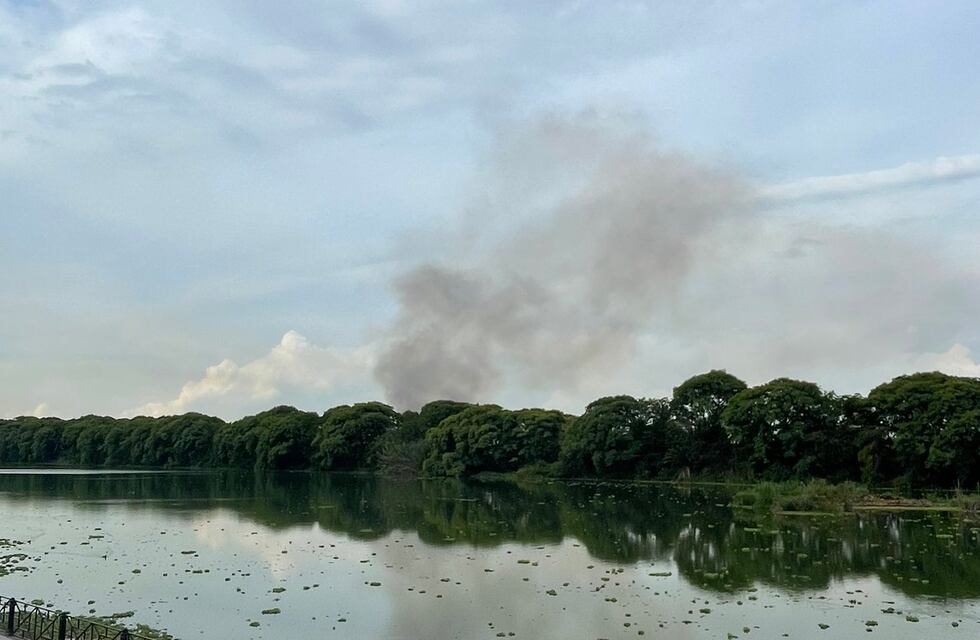 Incendio en la Reserva Ecológica de la Costanera Sur: Bomberos debieron sofocar las llamas, pero se desconoce qué las provocó
