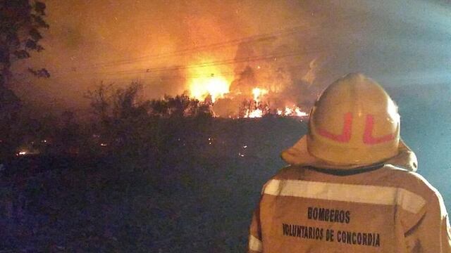 Incendios forestales en Concordia.