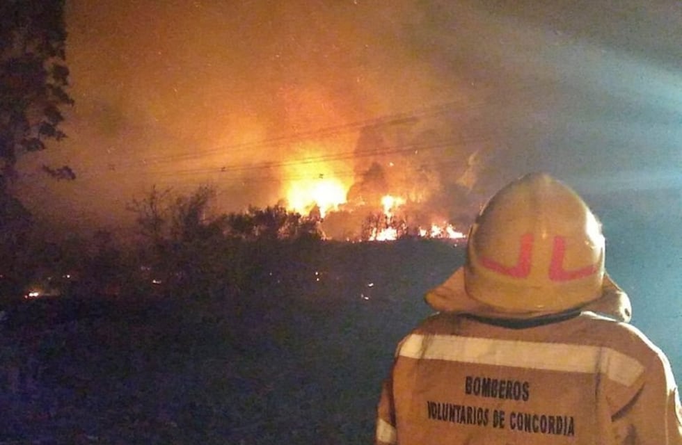 Incendios en Concordia: fueron 800 hectáreas las arrasadas
