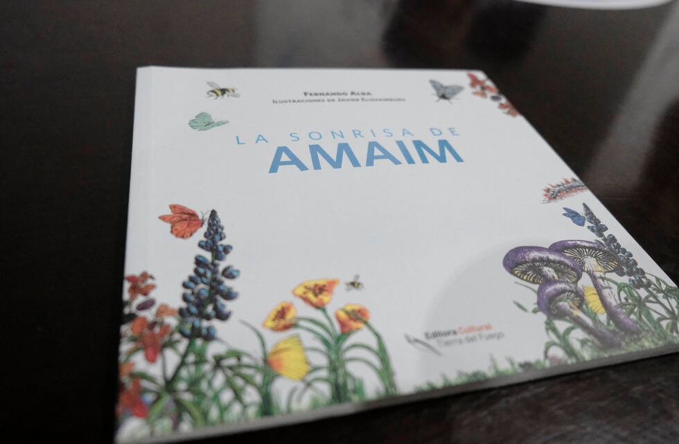 Declararon de interés Municipal al libro infantil “La Sonrisa de Amaim”