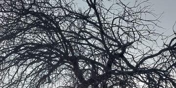 Parque costero Gualeguaychú. Foto: Fabián Godoy