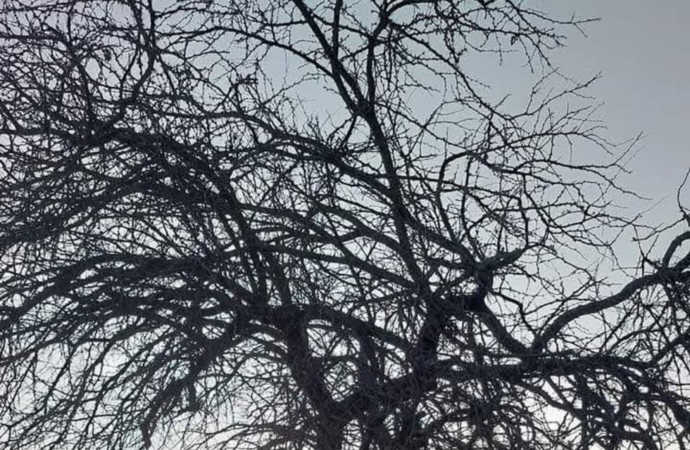Cómo estará el clima esta semana en Gualeguaychú