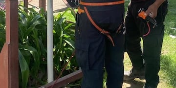 Refuerzan los sistemas de monitoreo y alarma.