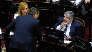 Los senadores de Unión por la Patria José Mayans y Anabel Fernández Sagasti (Foto: Federico López Claro)