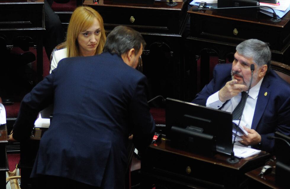 El peronismo está lejos de conseguir apoyo para rechazar el DNU en el Senado