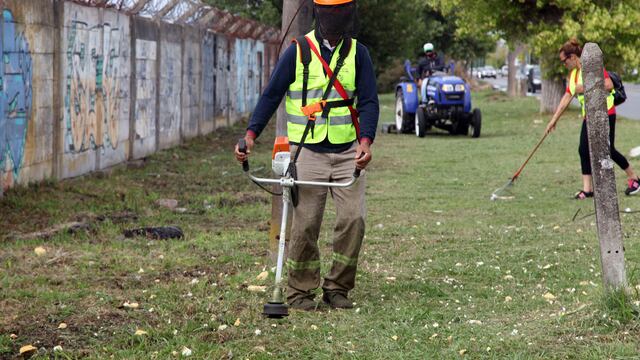 Grupos de vecinos participan de la limpieza.
