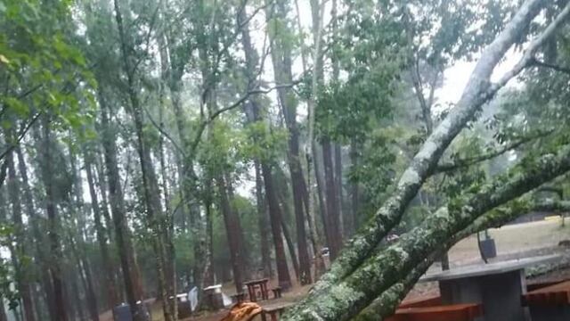 Fuerte temporal en Oberá causó caídas de árboles y postes que dejaron sin luz a gran parte de la ciudad.
