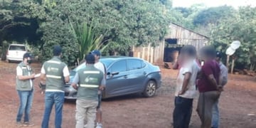 San Pedro: la Policía junto al INYM detectaron otro punto de acopio ilegal de yerba mate