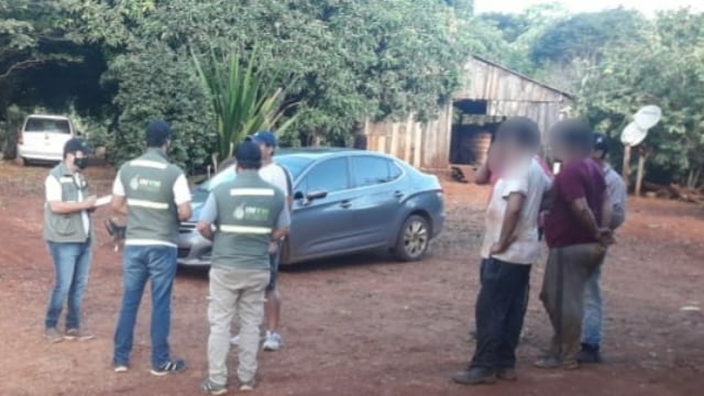 San Pedro: la Policía junto al INYM detectaron otro punto de acopio ilegal de yerba mate