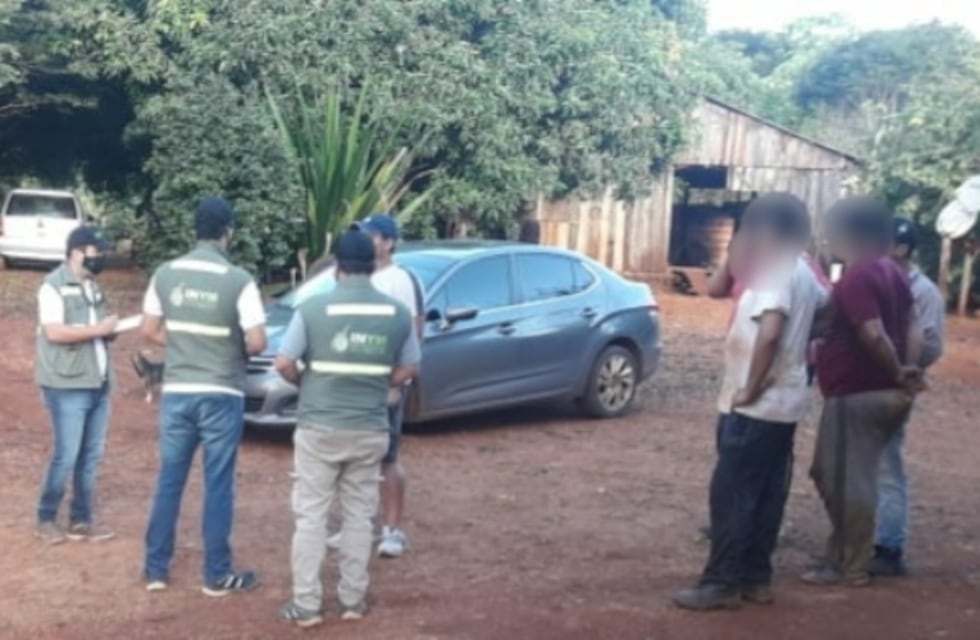 San Pedro: la Policía junto al INYM detectaron otro punto de acopio ilegal de yerba mate