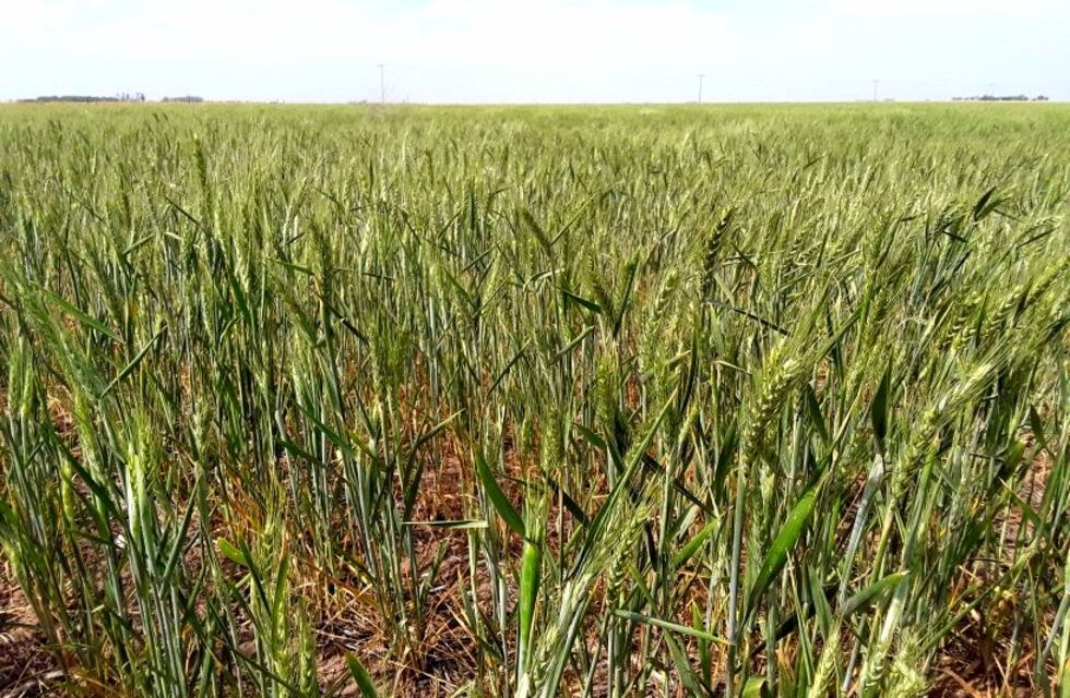 Tandil participará de Agrotur