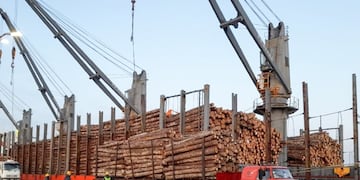 Puertos entrerrianos/Prensa ER