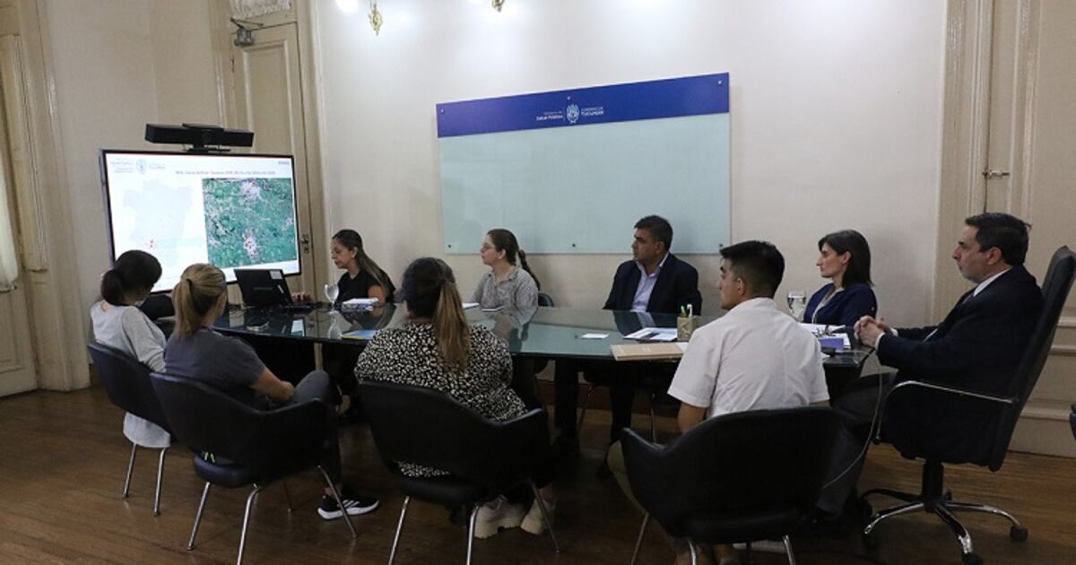 Alerta en Argentina: Dengue, Gripe y Sarampión en la Mira - Medidas Urgentes para Proteger a la Población