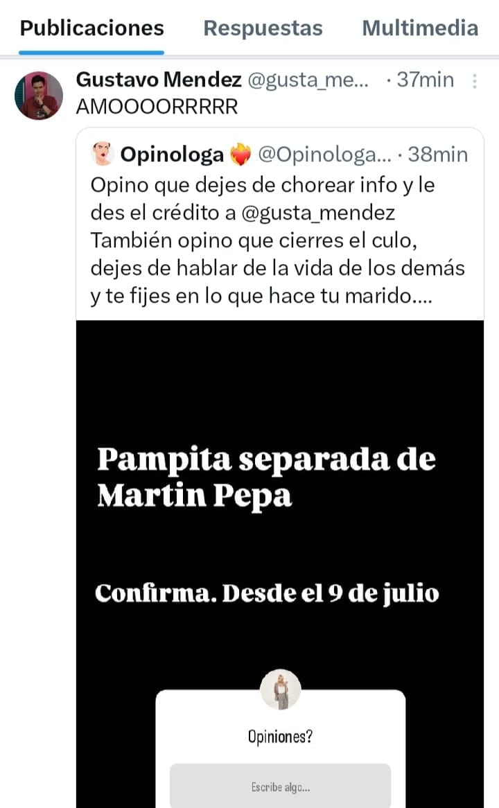 Gustavo Méndez sobre el posteo de Yanina Latorre en Instagram.