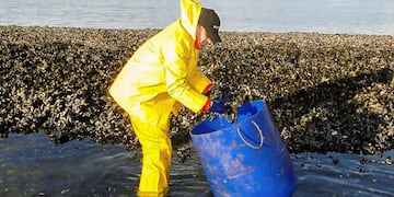 Veda para la recolección, venta y consumo de Mejillones en Tierra del Fuego.