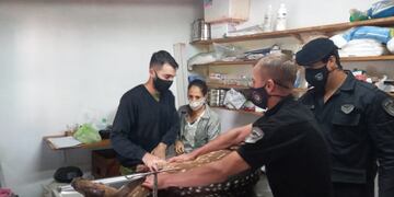 El animal recibió atención veterinaria ya que fue mordido por los canes.