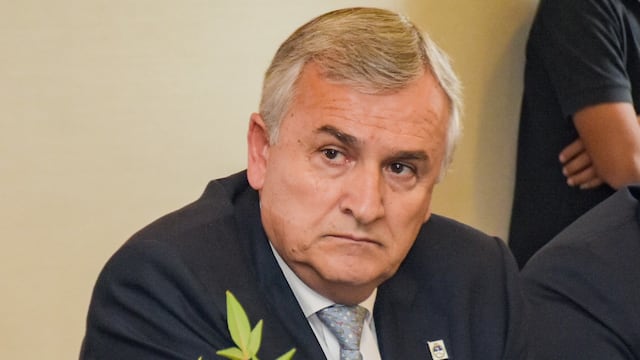 El presidente de la UCR, Gerardo Morales.