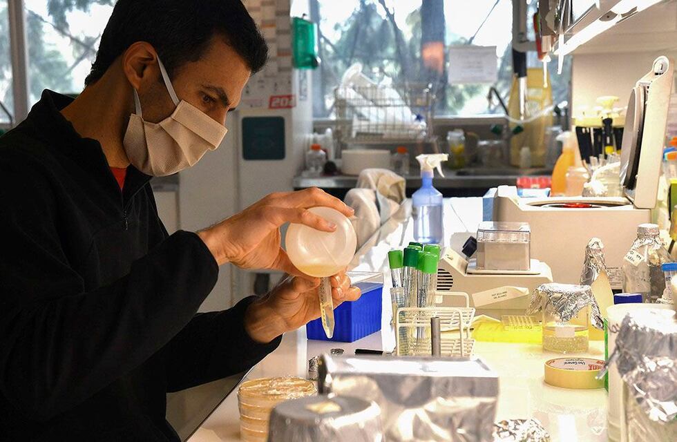 Ya regresaron a las clases presenciales más de 1.500 alumnos terciarios