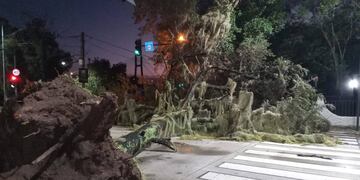 El tránsito sobre Avenida Carrasco y Fontanarrosa quedó interrumpido durnate la madrugada.