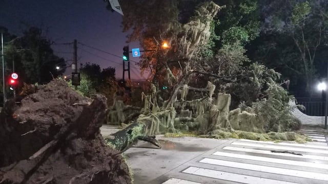 El tránsito sobre Avenida Carrasco y Fontanarrosa quedó interrumpido durnate la madrugada.