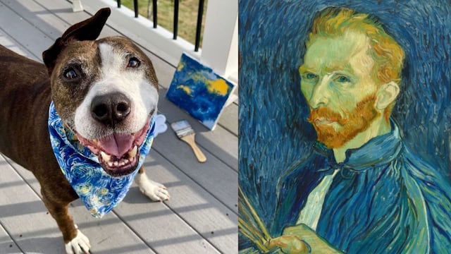 Perrito Van Gogh