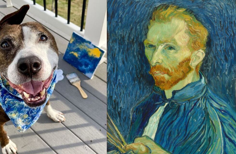 Van Gogh en forma de perro: pinta con su hocico y hace obras de arte que se vuelven virales