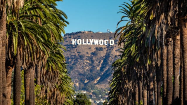 Quién es la famosa estrella de Hollywood que fue vista recolectando basura en las calles de Los Ángeles.