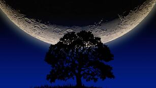 Explicación de cómo las fases lunares afectan la dinámica de los cultivos. (Luis Monje, CC BY-SA)