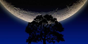 Explicación de cómo las fases lunares afectan la dinámica de los cultivos. (Luis Monje, CC BY-SA)