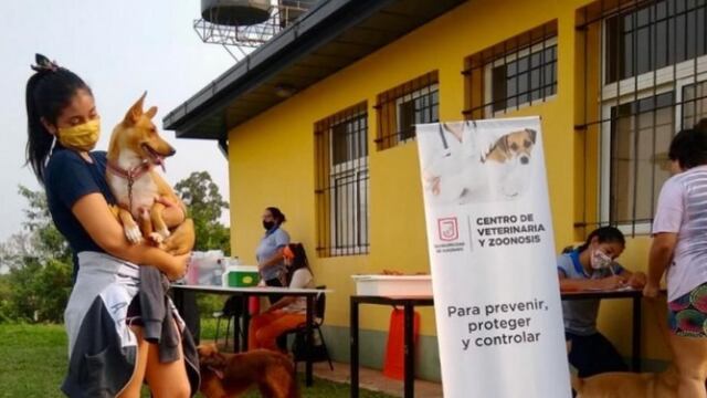 El Centro de Veterinaria y Zoonosis de Eldorado dio a conocer su cronograma semanal de actividades