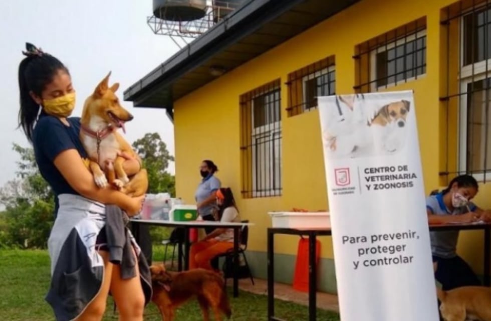 El Centro de Veterinaria y Zoonosis de Eldorado dio a conocer su cronograma semanal de actividades