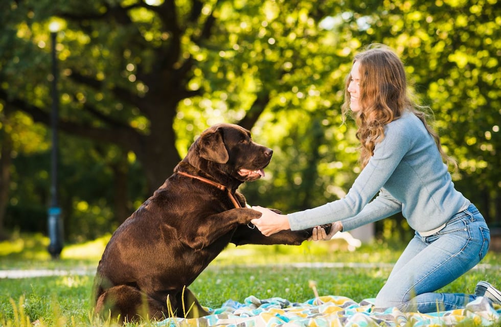 Un estudio demostró que el 95% de la población mundial considera a su mascota parte de la familia