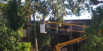 Realizan mejoramiento de luminarias en Eldorado.