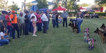 Campeonato Ovejero Alemán