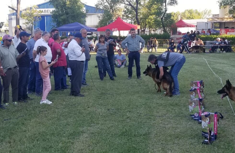 La raza Ovejero Alemán tuvo una jornada estelar