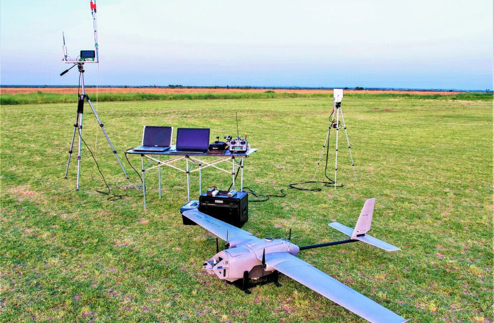 El novedoso sistema de forestación que desarrollaron científicos de San Luis