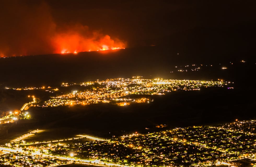 Incendios en Mendoza: seria preocupación de ambientalistas por los animales afectados y en peligro de extinción