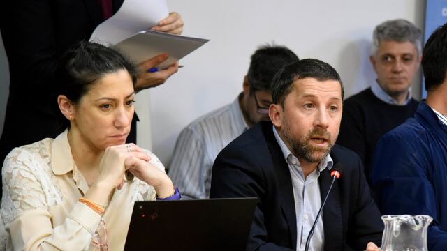 Carlos Figueroa, director de Comunicación y Relaciones Institucionales de Aerolíneas Argentinas, expuso en Diputados (Foto: HCDN)