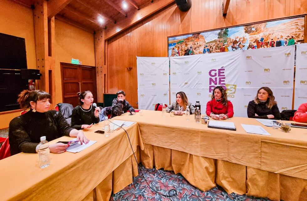 Tierra del Fuego participó del primer Encuentro Patagónico de Áreas de Géneros y Diversidad en Río Negro