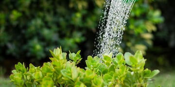 Uso consciente del agua: Villa Carlos Paz solicita compromiso de vecinos y turistas
