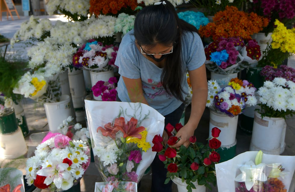 Primavera en Mendoza: ¿Cuáles son las flores preferidas de los mendocinos?