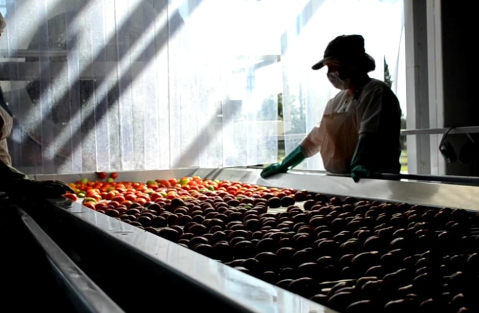 La Pulpera comenzó a elaborar tomate y se alista para iniciar la producción de pasta de zapallo