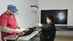 La Municipalidad de San Salvador de Jujuy posee dos centros de zoonosis dedicados a la castración y vacunación de perros y gatos.
